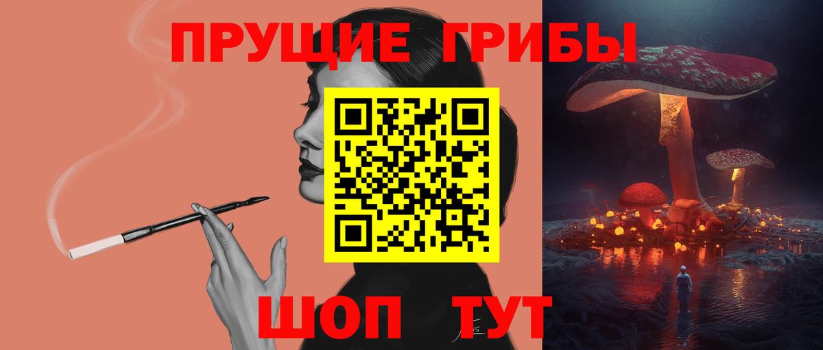 Галлюциногенные грибы Psilocybe Магадан